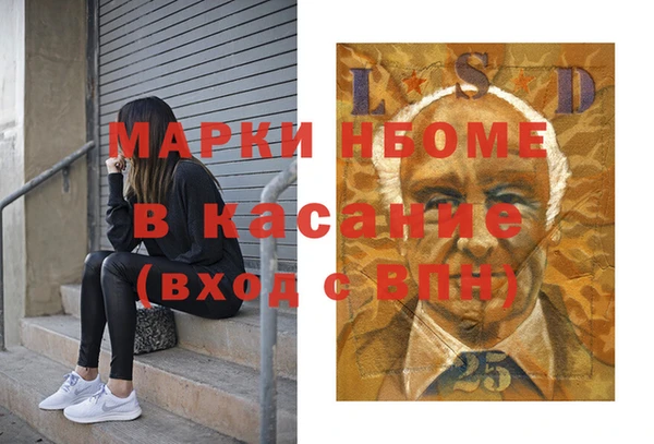 шишки Приозерск