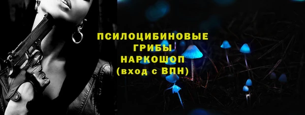МДПВ Нефтегорск