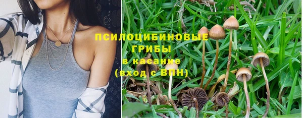 спиды Нефтекумск