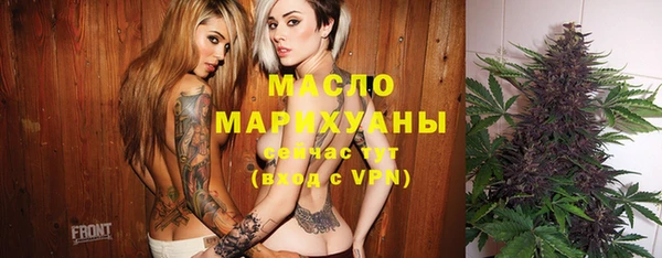 индика Новокубанск