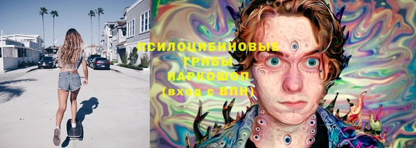 спиды Нефтекумск