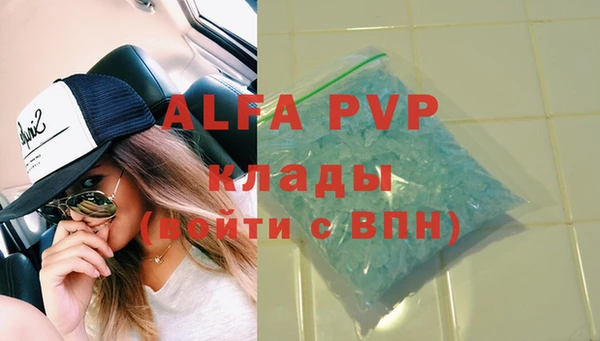 индика Новокубанск
