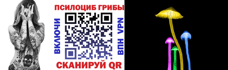 где найти наркотики  Пудож  Псилоцибиновые грибы ЛСД 