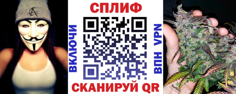 Шишки марихуана конопля  где продают   Пудож 